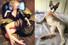 都说女人要有猫性，看完这组图我懂了为什么会有猫女郎了图片