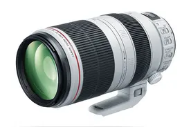 佳能EF 200-600mm镜头年末发布。图片