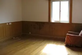 护墙板发霉了黑乎乎的？竟是因为这个，赶紧学学这样清洁保养！图片