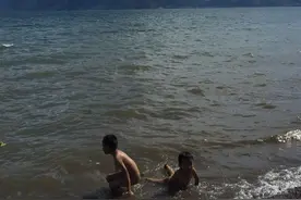 手机屏上的虫图片