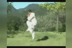 杨氏太极拳第三代顶尖高手杨少侯原汁原味的杨式太极用架演练！视频封面