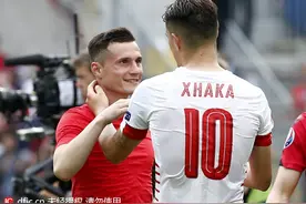 兄弟间的较量 欧洲杯扎卡兄弟同场竞技火爆中温情暖暖图片