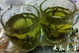 小叶苦丁茶的药用价值图片