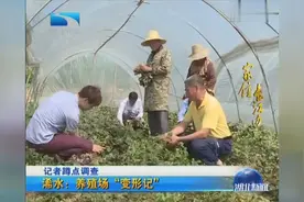 记者蹲点调查 浠水：养殖场“变形记”视频封面