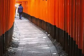 一个人的日本（大京东/十日/多图慎入)图片