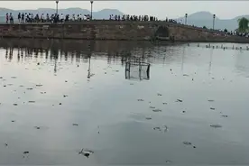 小君带你边玩边涨文化9：西湖的断桥为什么是断的，名字怎么来的视频封面