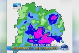 宜昌突降特大暴雨，周霁冒雨巡查灾情，指挥救灾视频封面