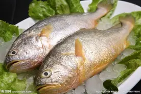 鱼内脏的寄生虫吓人，其实除干净后高温煮熟食用无害图片