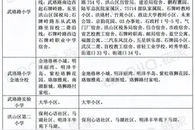 2016武汉小学初中划片范围（洪山片）图片
