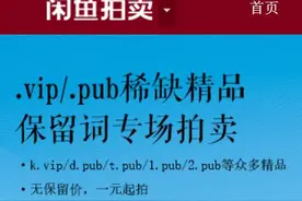 域名史上最大的黑天鹅事件？阿里拍卖两字符.pub一元成交！图片
