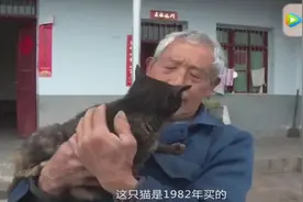这是我见过年龄最大的猫咪，抓老鼠能手！视频封面