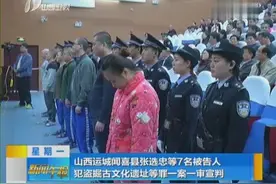 山西闻喜县张选忠等7名被告人犯盗掘古文化遗址等罪一案一审宣判视频封面