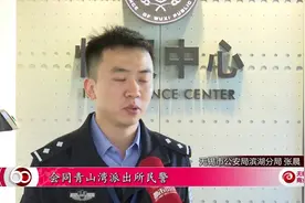 智慧公安大数据应用 精准警务抓获十年逃犯视频封面