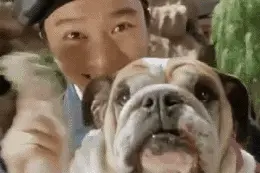 带着宠物坐火车总共分三步！图片