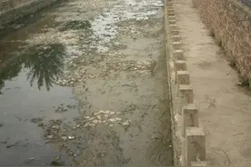同样是郑州城区河道，为何熊儿河干涸见底 常见它“口渴”？图片