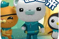 海底小纵队集体空降青岛海底世界，快来开启深海探险之旅！图片