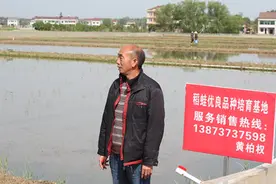 湖南特种黑斑蛙（青蛙）蝌蚪，养殖致富新模式图片