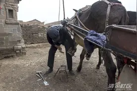 即将消失的行业——钉马掌图片