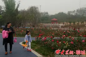聊城凤凰苑植物园5月1日正式开园迎客图片