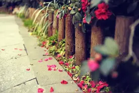 有种生活叫做中梁·临沂壹号院图片