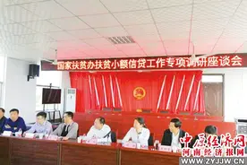 泌阳县金融扶贫让贫困群众走上致富路图片