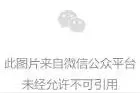 骑行的童年 自行车陪伴的那些岁月图片