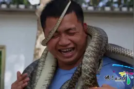 走夜路都害怕的人 竟然让10条大蛇缠身上 这么逼自己是为啥视频封面