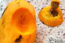 金煌芒果的空洞果是怎么回事？图片