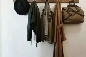 有了这衣架 就算脱光也很美图片