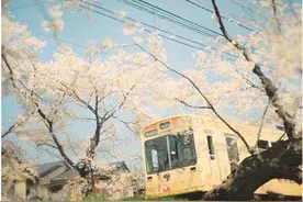 qq人生感情个性签名图片