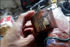 一只小叶紫檀小青蛙的诞生记图片