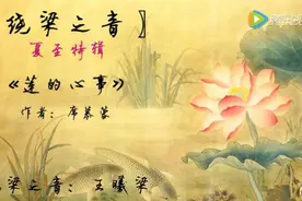 夏至特辑：心事如莲 —— 绕梁之音图片
