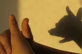 创意美学：好玩的动物手影，学会了和小孩互动吧！视频封面