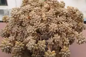 吐槽帖！人心不足，致可怕的得寸进尺的伸手党！图片