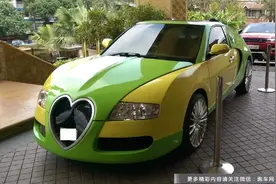 肥龙减肥成功，穿上出租车了的马甲，变成布加迪泡泡龙图片