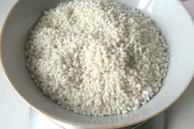 如何制作甜酒酿图片