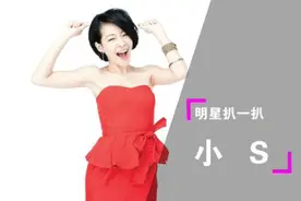 小S失业痛哭，命中无子图片