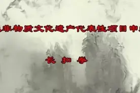 平江和平武馆“长扣拳”进入市级申遗！图片