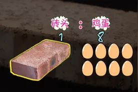 以卵击石常识有误？砖头碎成两半 鸡蛋好好的...图片