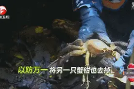 荒野生存真人秀节目，除了虐明星还有什么？图片