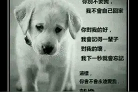 实用，教你识别狗贩子套路，拒绝伤害图片
