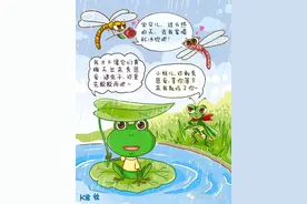 看这些动物们是怎样闹黄梅天的？|图片