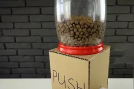DIY宠物自动喂食机，再也不用担心家里的萌宠视频封面