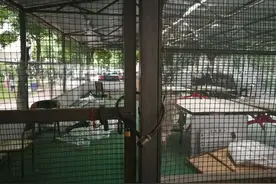 老年人打乒乓球太吵，小区业主要求拆除违建的公共球棚图片