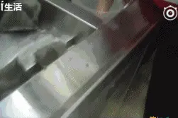 记者曝光网红饮品店：发黑的芒果榨汁 去年的苹果泡茶图片