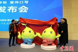 第十二届中国（南宁）国际园林博览会吉祥物发布图片