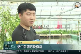 春钓捕捞小龙虾 鲜嫩肥美个头大视频封面