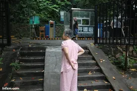 “福利房老了” 深圳试水特区土地破局药方图片