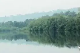 绵阳上游水库 手竿起鲫鱼图片