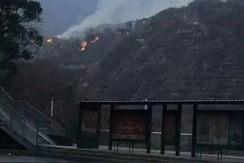 过火面积400亩！攀枝花一居民扫墓烧香引发山火被立案侦查图片